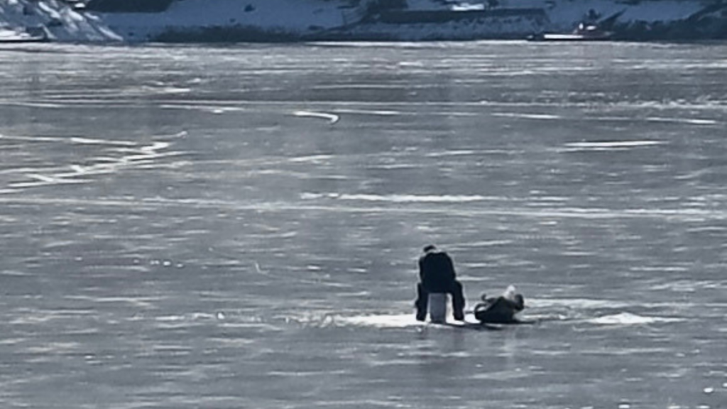 Fisherman