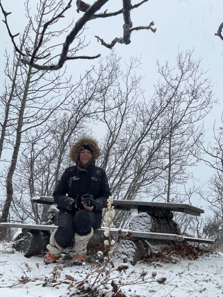 Winter Laurie